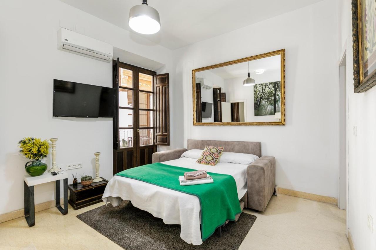 Apartamento Alcaiceria Granada Apartment Bagian luar foto